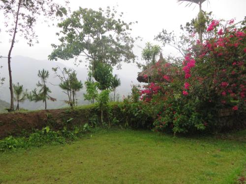 a garden with flowers and a view of the mountains at Native Village Inn in Banaue