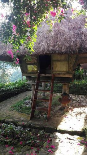 a small hut with a grass roof and a ladder at Native Village Inn in Banaue