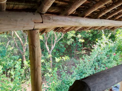 Fotografie z fotogalerie ubytování SIMBA House v destinaci Kilifi