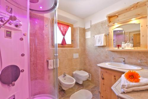 uma casa de banho com um chuveiro, um WC e um lavatório. em Al Beltram em Livigno