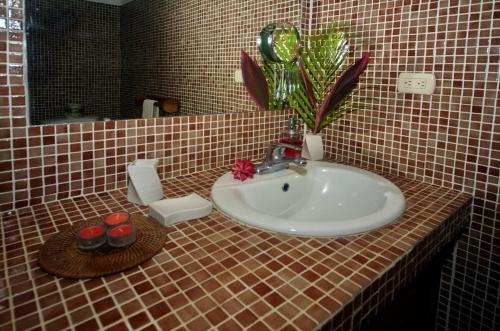 聖特雷莎海灘的住宿－Esencia Hotel and Villas，浴室水槽和瓷砖柜台上的植物