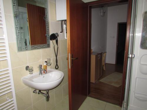 a bathroom with a sink and a mirror and a shower at Smještaj Slavonija in Daruvar
