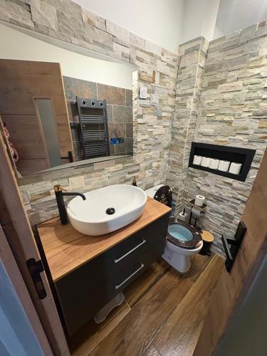 a bathroom with a sink and a toilet at Grand 2 pièces ensoleillé in Font-Romeu