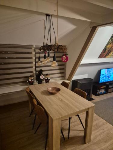 TV a/nebo společenská místnost v ubytování Bois d' Hibou