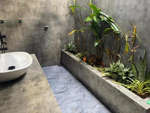 a bathroom with a sink and some plants at Oshi villa in Unawatuna