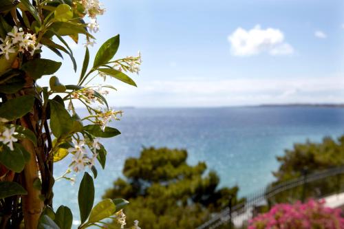 a view of the ocean from a tree with flowers at Avra Private Suites in Lassi