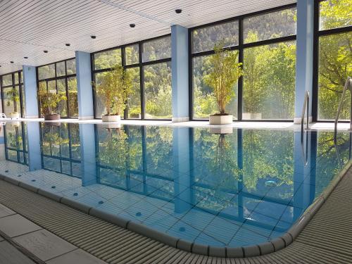 Jutta Deluxe Apartment #325 في باد رايشنهال: مسبح فارغ مع وجود اشجار في النوافذ