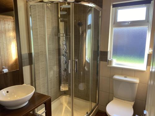 a bathroom with a shower and a toilet and a sink at Field View 2 bed - Hazel in Horham