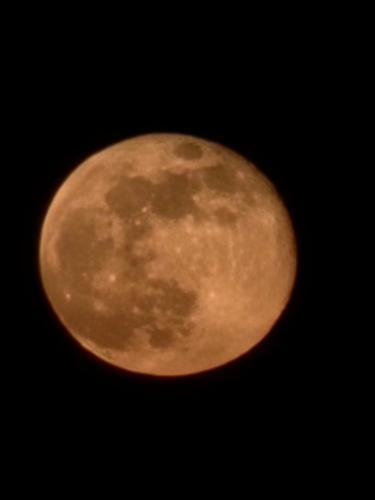 Φωτογραφία από το άλμπουμ του Royale Touareg Tents σε Merzouga