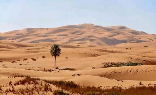 Φυσικό τοπίο κοντά σε οργανωμένο κάμπινγκ