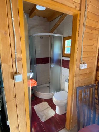 a bathroom with a shower and a toilet at Planinska Idila in Crni Vrh