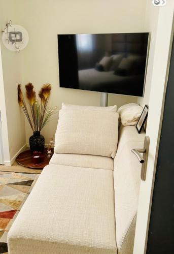 Appartement cosy au cœur de Montchat- tout confort