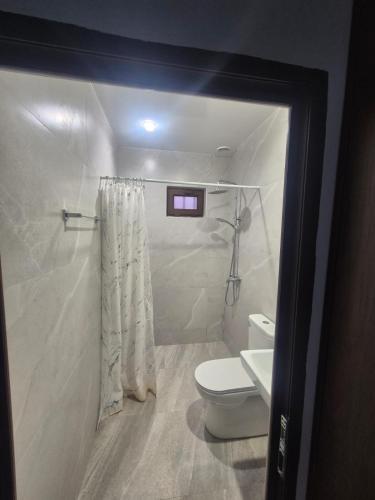 mała łazienka z toaletą i prysznicem w obiekcie Olive Home w Erywaniu