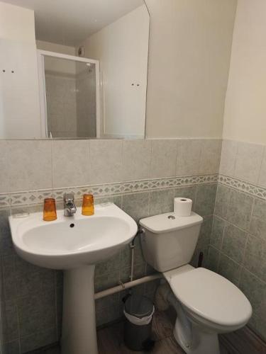 a bathroom with a white sink and a toilet at Le Sauvage in Château-Renard