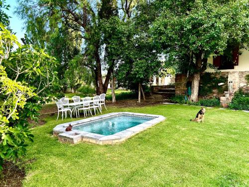 Swimmingpoolen hos eller tæt på Paradijs in Nieu-Bethesda