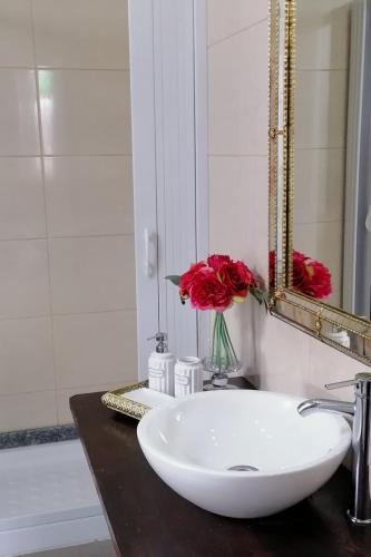 a bathroom with a sink and a mirror and red flowers at Nature House Lagos do Sabor in Torre de Moncorvo