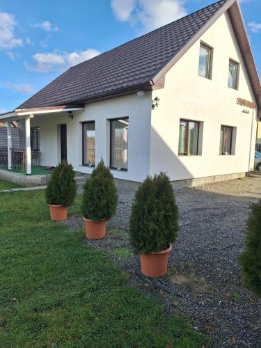 Afbeelding uit fotogalerij van Casa Mara in Ideciu de Jos