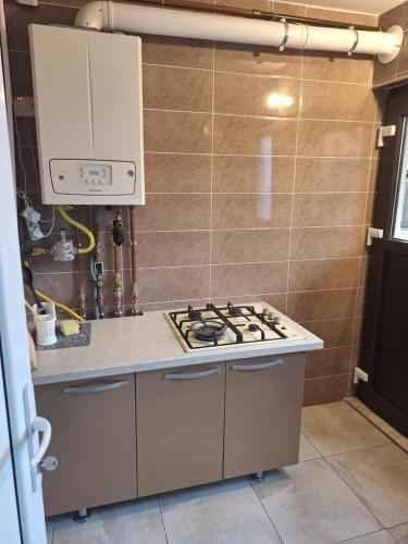 Afbeelding uit fotogalerij van Casa Mara in Ideciu de Jos