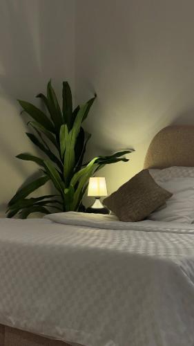 Billede fra billedgalleriet på المدينه المنوره i Al Madinah