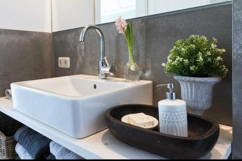 een badkamer met een witte wastafel en een plant op een aanrecht bij Ferienhaus Clara in Wardenburg