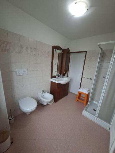 a bathroom with a toilet and a sink and a shower at Belvedere 160 in Feltre