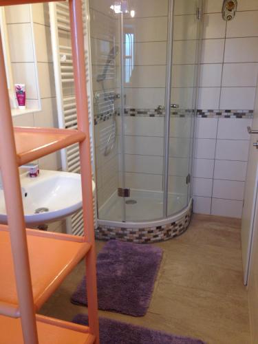 a bathroom with a shower and a sink at Monteurwohnung bei Crailsheim Feuchtwangen in Fichtenau