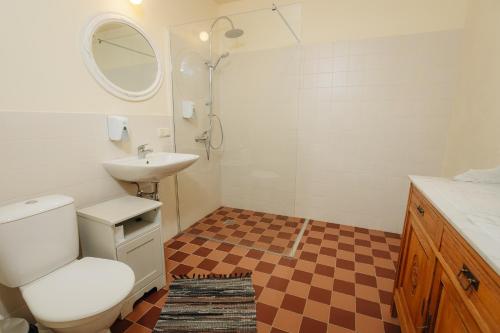 a bathroom with a toilet and a sink and a mirror at Pilsbrūzis in Odziena