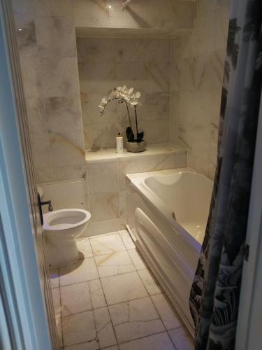 a bathroom with a toilet and a tub and a sink at Historic Dover Stay with Stunning Castle View in Dover