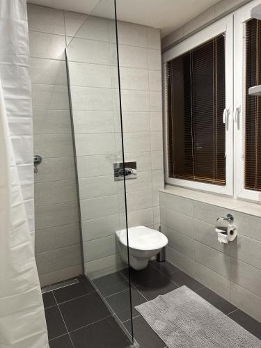 ein Badezimmer mit Toilette und Glasdusche in der Unterkunft VIP Apartments in Senica