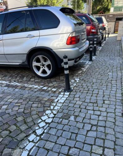 a row of parked cars on a brick street at Garden Apart in Predeal