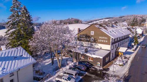 Alpina Löwen Hotel trong mùa đông