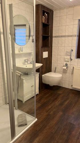 a bathroom with a sink and a toilet and a mirror at Zum Rosenhügel in Hellenthal