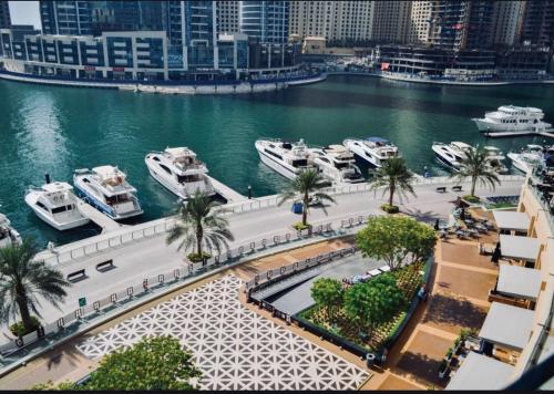 a group of boats docked in a harbor at Dubai Marina larivera in Dubai