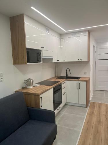Η κουζίνα ή μικρή κουζίνα στο Apartament Sadowa