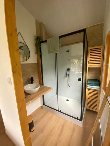 a bathroom with a shower and a sink at Chalet bois cosy indépendant Saint Jean de Niost in Saint-Jean-de Niost
