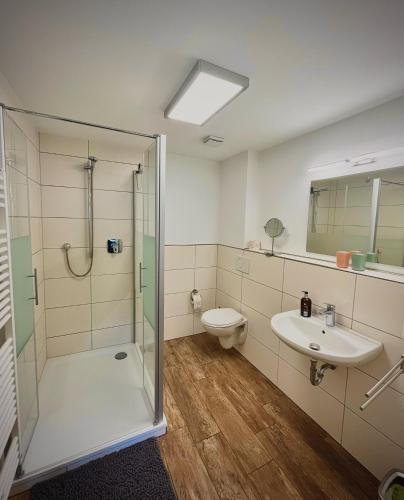 a bathroom with a shower and a toilet and a sink at Steinfelderhof in Kröv