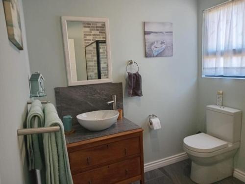 a bathroom with a sink and a toilet at Zebra Crossing in Bushmans River Village