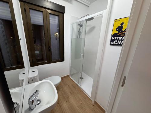 a bathroom with a toilet and a sink and a shower at Estudio Las Rozas de Madrid in Las Rozas de Madrid