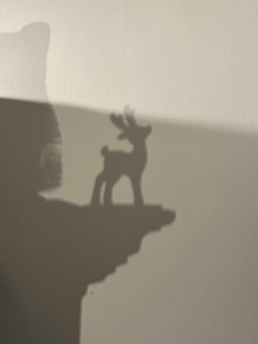 een schaduw van een persoon die op een paard rijdt op een muur bij Les Villas du Ried in Daubensand