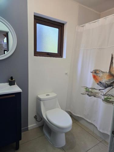 Refugio Ecos del Bosque في بورتو فاراس: حمام مع مرحاض وستارة دش الطيور