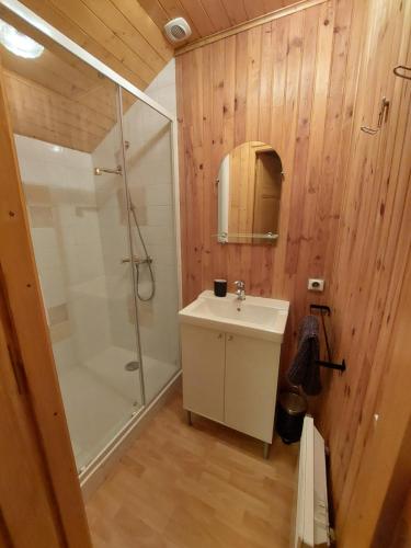 a bathroom with a white sink and a shower at Gîte "EN VALROMEY" au pied du Grand Colombier in Munet