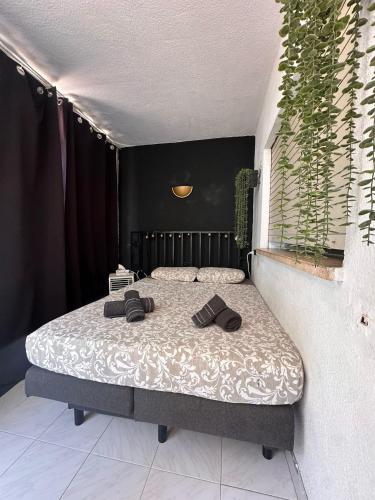 Sweet-Home Playa Benidorm