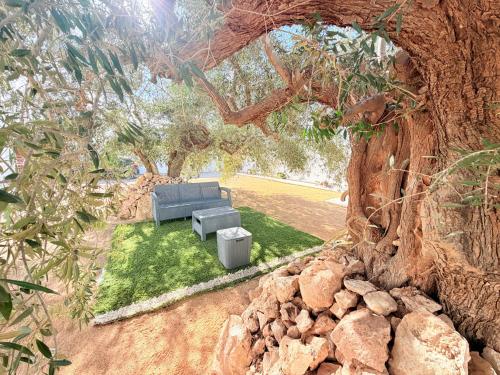 Zahrada ubytování Résidence Azur Djerba