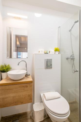a bathroom with a toilet and a sink and a shower at Aju Hillel 14 in Jerusalem