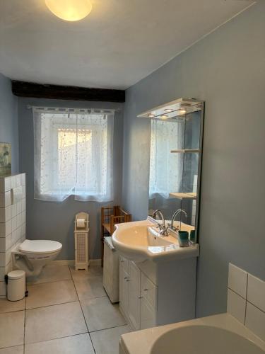 Koupelna v ubytování Spacious Village House in Ginoles with Garden