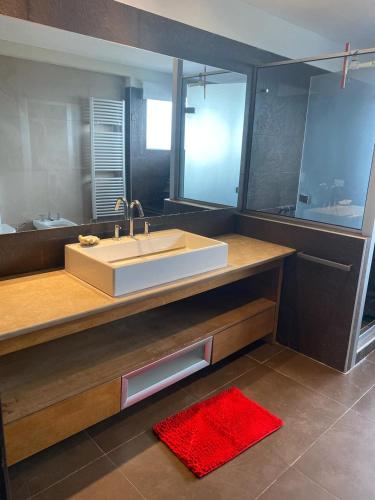 a bathroom with a sink and a red rug at Ostende frente al mar in Ostende