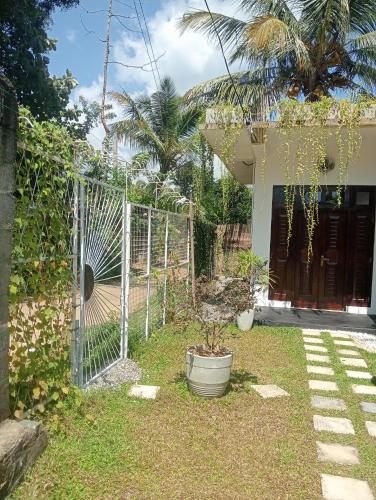 een hek voor een huis met een palmboom bij Aborigines vila 