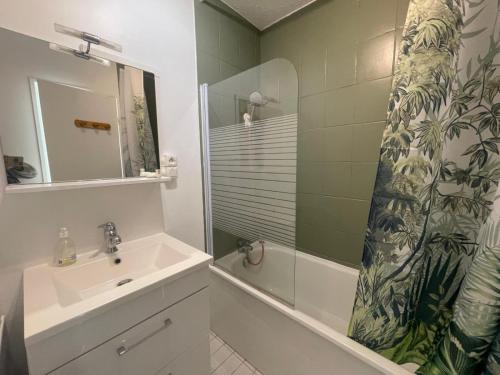 ein Badezimmer mit Waschbecken und Duschvorhang in der Unterkunft Grand studio au Grau-du-Roi proche Seaquarium et plage in Le Grau-du-Roi