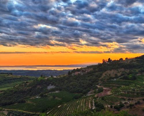 a sunset over a vineyard in the hills at La casa di Lilly in SantʼAmbrogio di Valpolicella