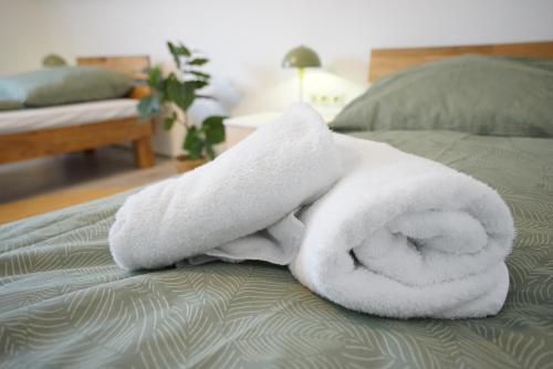 Postel nebo postele na pokoji v ubytování Sonnenhöhe Apartment